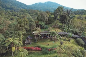 Tauche ein in unsere atemberaubende Location auf Bali für eine unvergessliche 200- oder 300-stündige Yogalehrerausbildung und einen Yoga-Urlaub.