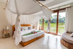 ganesh room with view.jpg